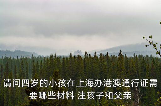 請問四歲的小孩在上海辦港澳通行證需要哪些材料 注孩子和父親