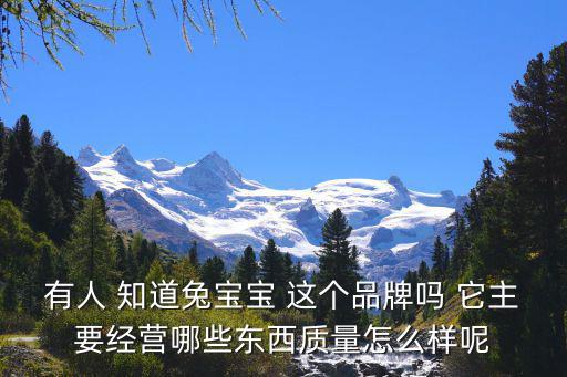 有人 知道兔寶寶 這個(gè)品牌嗎 它主要經(jīng)營哪些東西質(zhì)量怎么樣呢