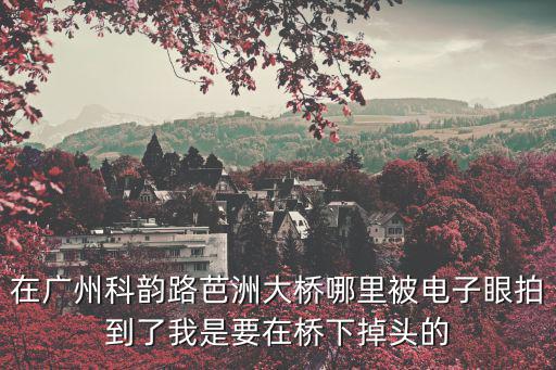 在廣州科韻路芭洲大橋哪里被電子眼拍到了我是要在橋下掉頭的