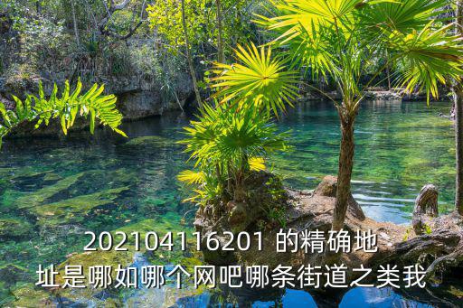 202104116201 的精確地址是哪如哪個網吧哪條街道之類我