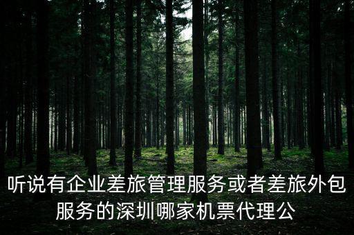 聽說有企業差旅管理服務或者差旅外包服務的深圳哪家機票代理公