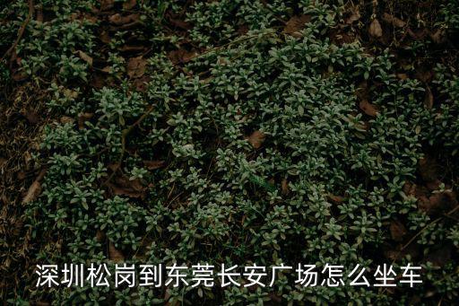 深圳松崗到東莞長安廣場怎么坐車