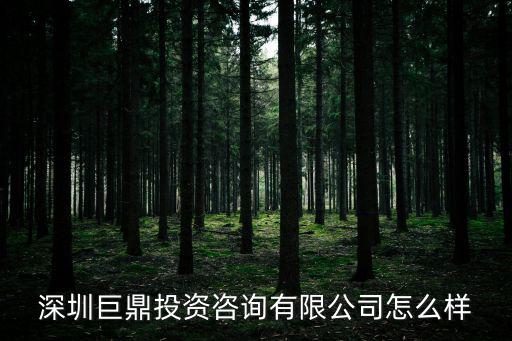 深圳巨鼎投資咨詢有限公司怎么樣