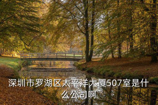 深圳市羅湖區(qū)太平洋大廈507室是什么公司啊