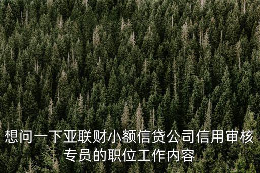 想問一下亞聯財小額信貸公司信用審核專員的職位工作內容