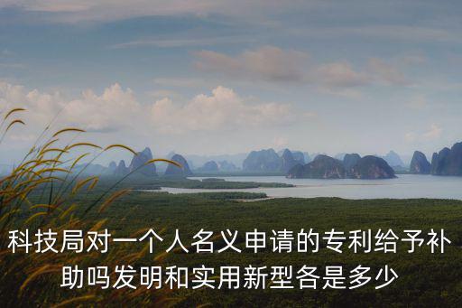 科技局對一個人名義申請的專利給予補助嗎發明和實用新型各是多少