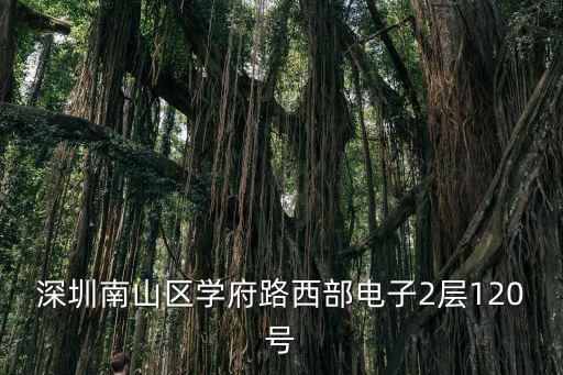 深圳南山區(qū)學(xué)府路西部電子2層120號(hào)