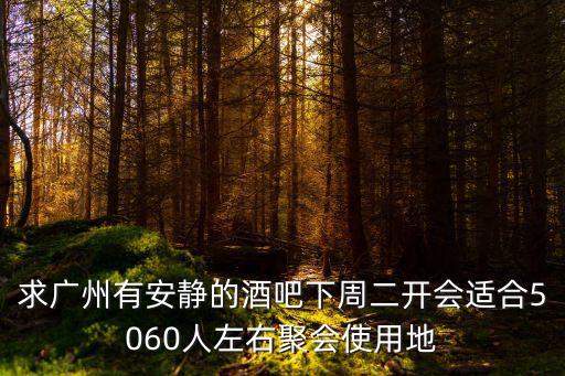 求廣州有安靜的酒吧下周二開會適合5060人左右聚會使用地