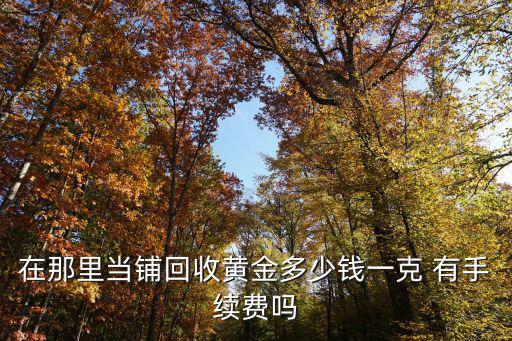 在那里當鋪回收黃金多少錢一克 有手續費嗎