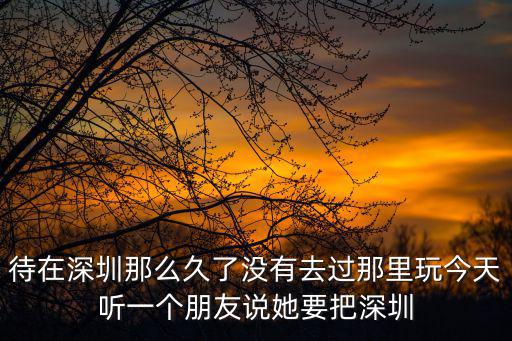 待在深圳那么久了沒有去過那里玩今天聽一個朋友說她要把深圳