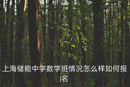 上海儲能中學數學班情況怎么樣如何報名