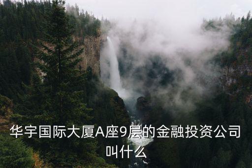 華宇國際大廈A座9層的金融投資公司叫什么