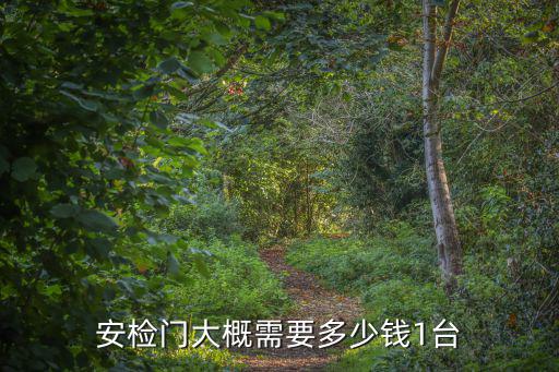 安檢門大概需要多少錢1臺