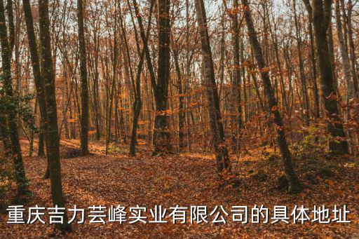 重慶吉力蕓峰實(shí)業(yè)有限公司的具體地址