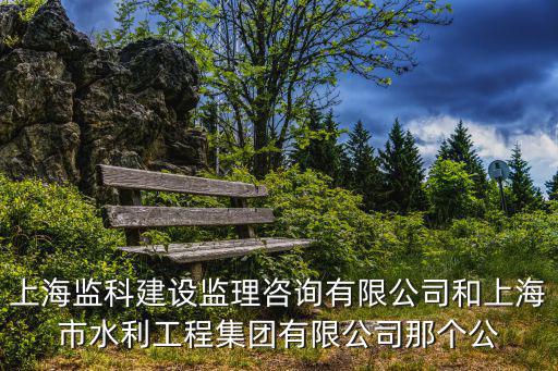 上海監科建設監理咨詢有限公司和上海市水利工程集團有限公司那個公