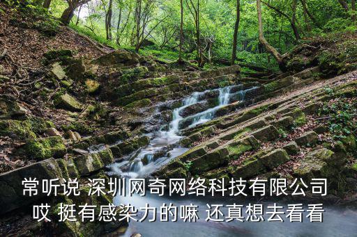深圳依元素科技有限公司，我做了深圳不費事科技有限公司的詞條已經審核通過了為什么