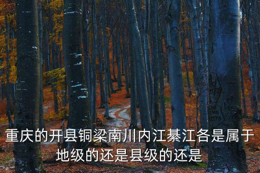 重慶的開縣銅梁南川內江綦江各是屬于地級的還是縣級的還是
