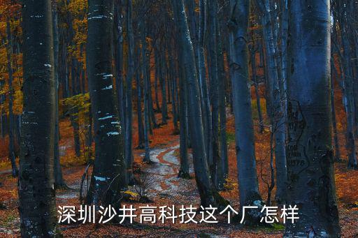 深圳沙井高科技這個廠怎樣