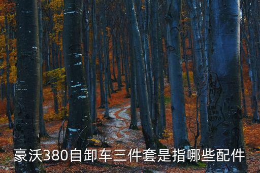 豪沃380自卸車(chē)三件套是指哪些配件