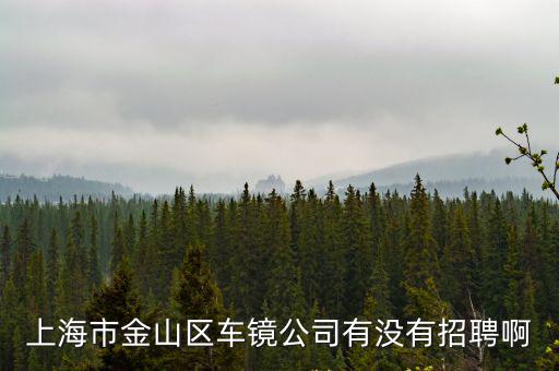 上海市金山區車鏡公司有沒有招聘啊