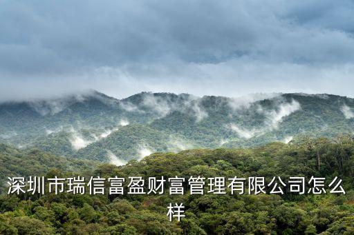 深圳市瑞信富盈財富管理有限公司怎么樣