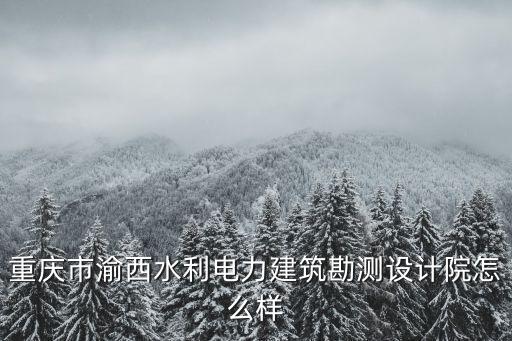 重慶市渝西水利電力建筑勘測設計院怎么樣
