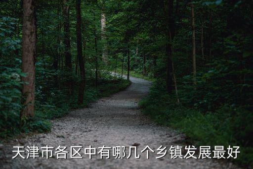 天津市各區(qū)中有哪幾個鄉(xiāng)鎮(zhèn)發(fā)展最好