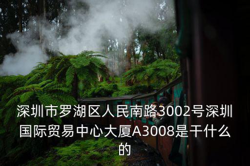 深圳市華仁國際投資有限公司，深圳市羅湖區人民南路3002號深圳國際貿易中心大廈A3008是干什么的