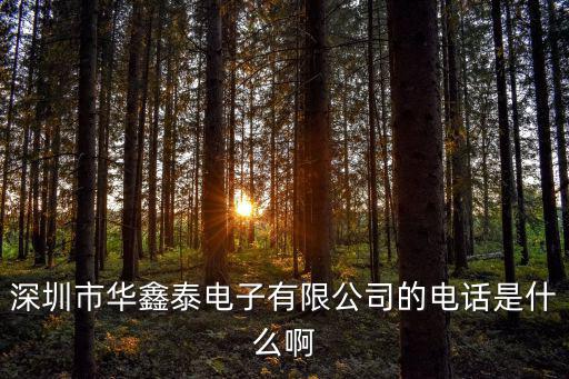 深圳市華鑫智電子限公司，深圳市華鑫眾宇有限公司是做什么