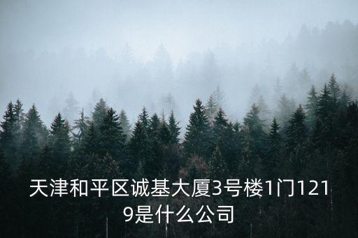 天津和平區(qū)誠基大廈3號(hào)樓1門1219是什么公司