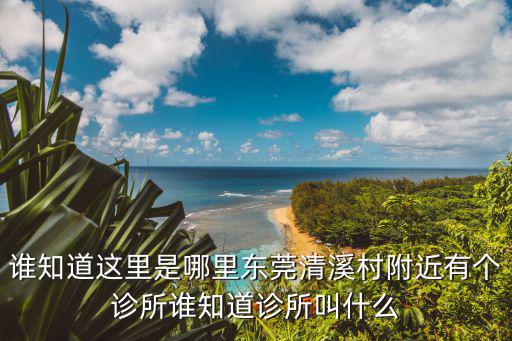 肺炎東莞確診病例是哪里的，東莞座機(jī)開(kāi)頭2304屬于哪里
