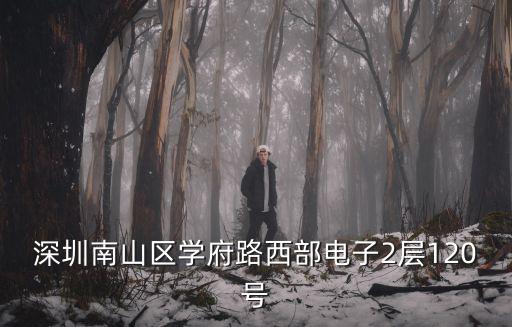 深圳南山區學府路西部電子2層120號