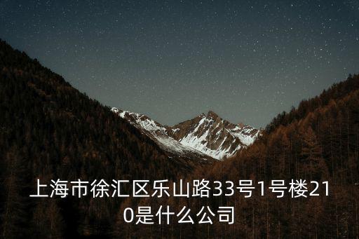 上海市徐匯區(qū)樂山路33號1號樓210是什么公司