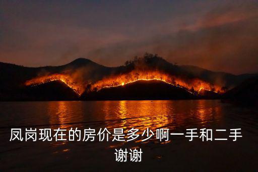 鳳崗現在的房價是多少啊一手和二手 謝謝