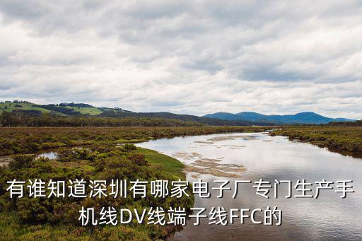 有誰知道深圳有哪家電子廠專門生產(chǎn)手機線DV線端子線FFC的