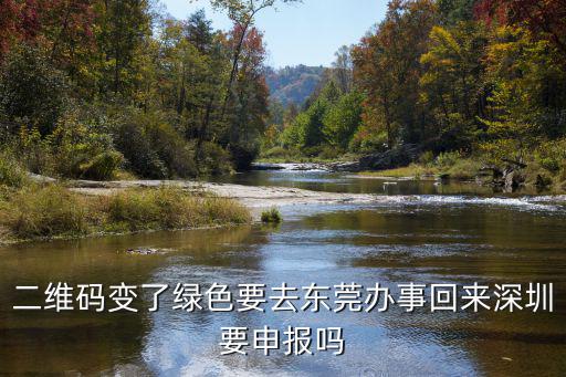 去東莞要申報嗎，東莞這邊的個體工商戶需要申報所得稅嗎
