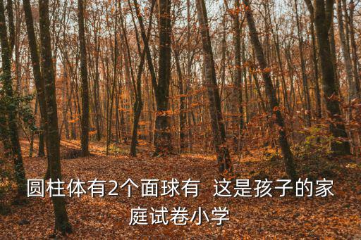 圓柱體有2個面球有  這是孩子的家庭試卷小學