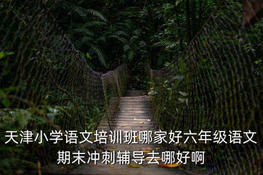 天津小學語文培訓班哪家好六年級語文期末沖刺輔導去哪好啊