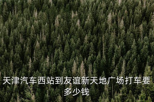 天津汽車西站到友誼新天地廣場打車要多少錢