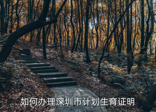 深圳入戶計生證明，深圳計劃生育證明在哪里辦