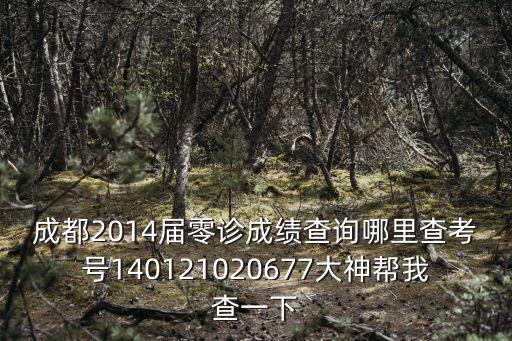 成都2014屆零診成績查詢哪里查考號140121020677大神幫我查一下