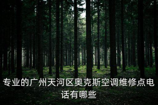 專業的廣州天河區奧克斯空調維修點電話有哪些