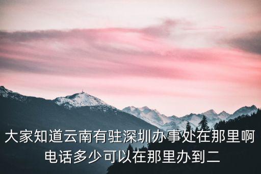 大家知道云南有駐深圳辦事處在那里啊 電話多少可以在那里辦到二