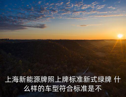 上海新能源牌照上牌標準新式綠牌 什么樣的車型符合標準是不