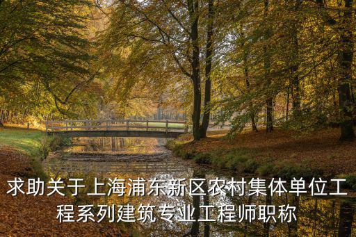 求助關于上海浦東新區農村集體單位工程系列建筑專業工程師職稱