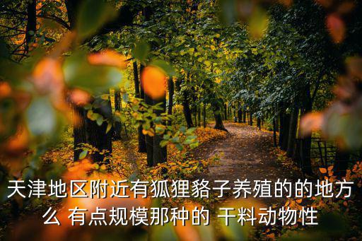 天津地區附近有狐貍貉子養殖的的地方么 有點規模那種的 干料動物性