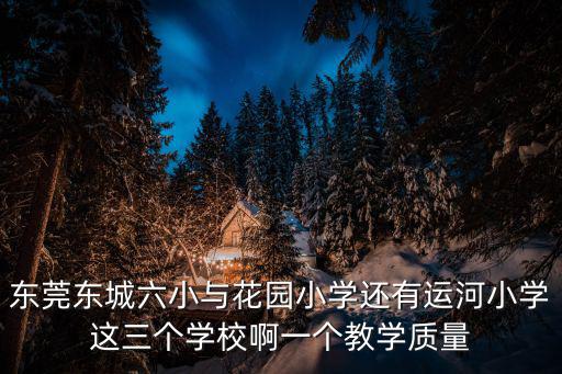東莞東城六小與花園小學還有運河小學這三個學校啊一個教學質量