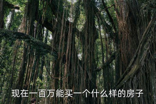 現(xiàn)在一百萬(wàn)能買一個(gè)什么樣的房子