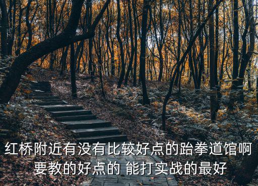 紅橋附近有沒有比較好點的跆拳道館啊 要教的好點的 能打實戰的最好
