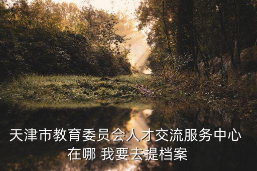 天津市教育委員會(huì)人才交流服務(wù)中心 在哪 我要去提檔案